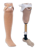 下腿義足（骨格構造・PTB式）